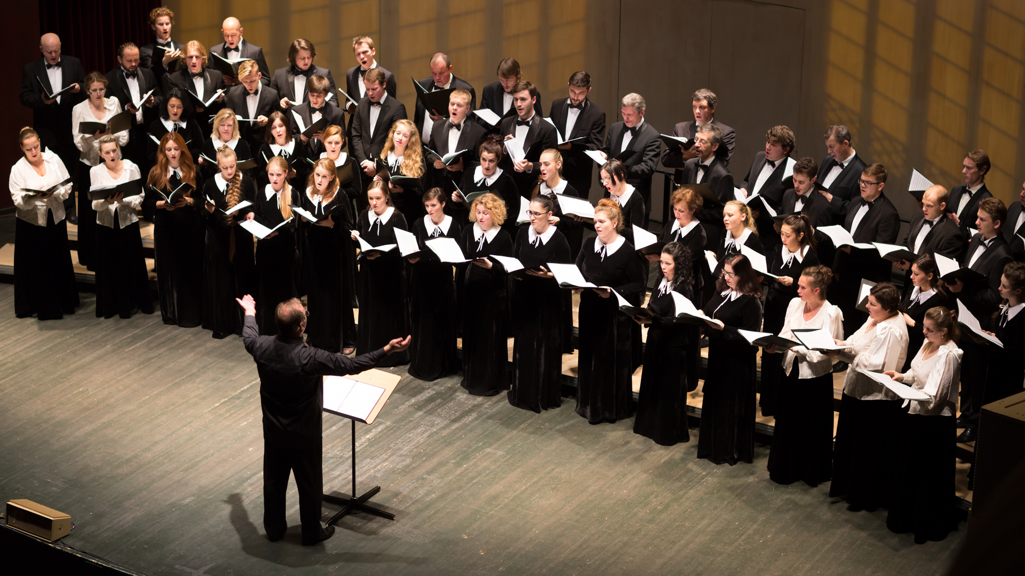Концерт «Аве Мария: хор и орган»