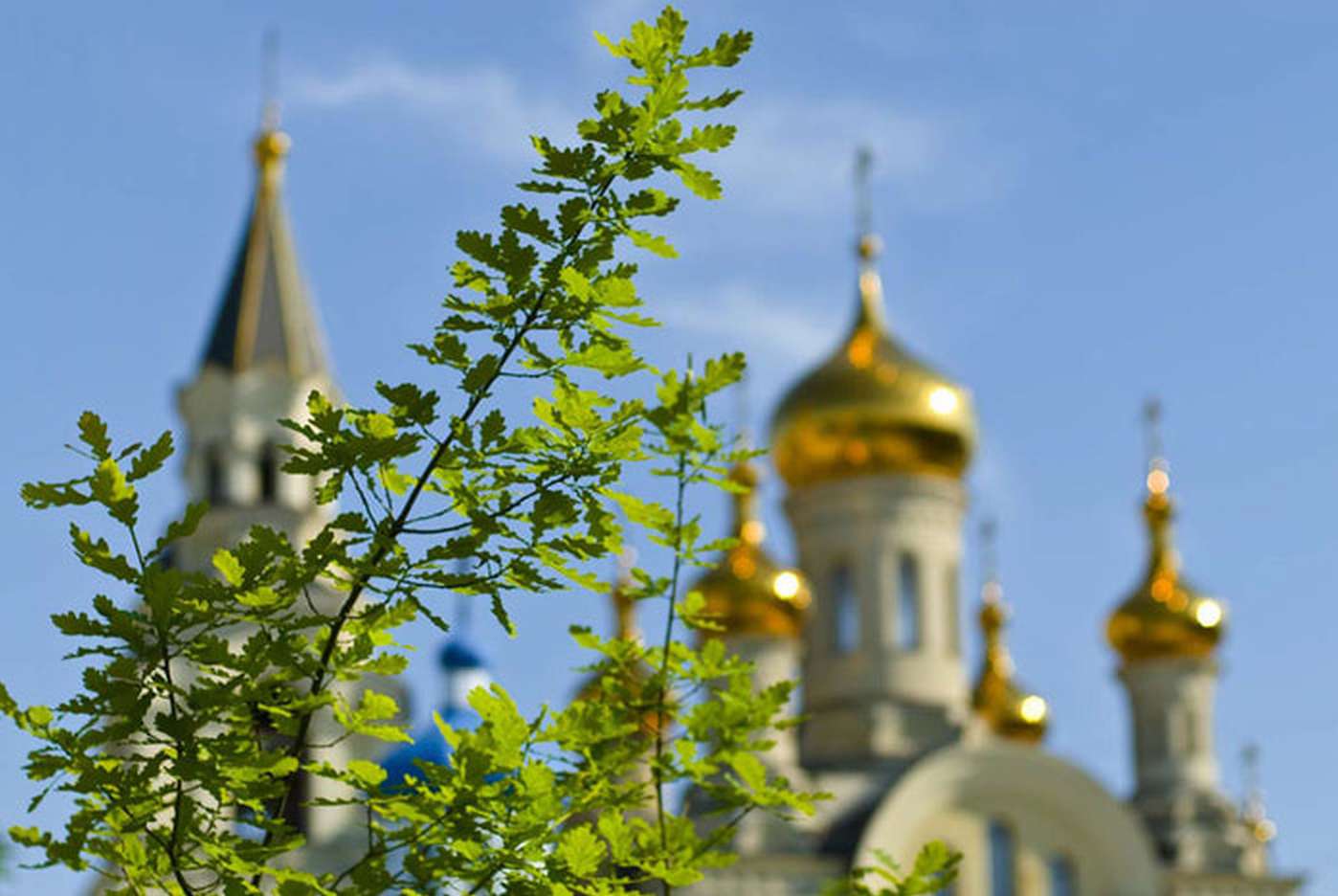 Православная троица. Тройца праздник березы и церкви. Церковь в зелени. Храм на фоне берез. Храм на фоне зелени.