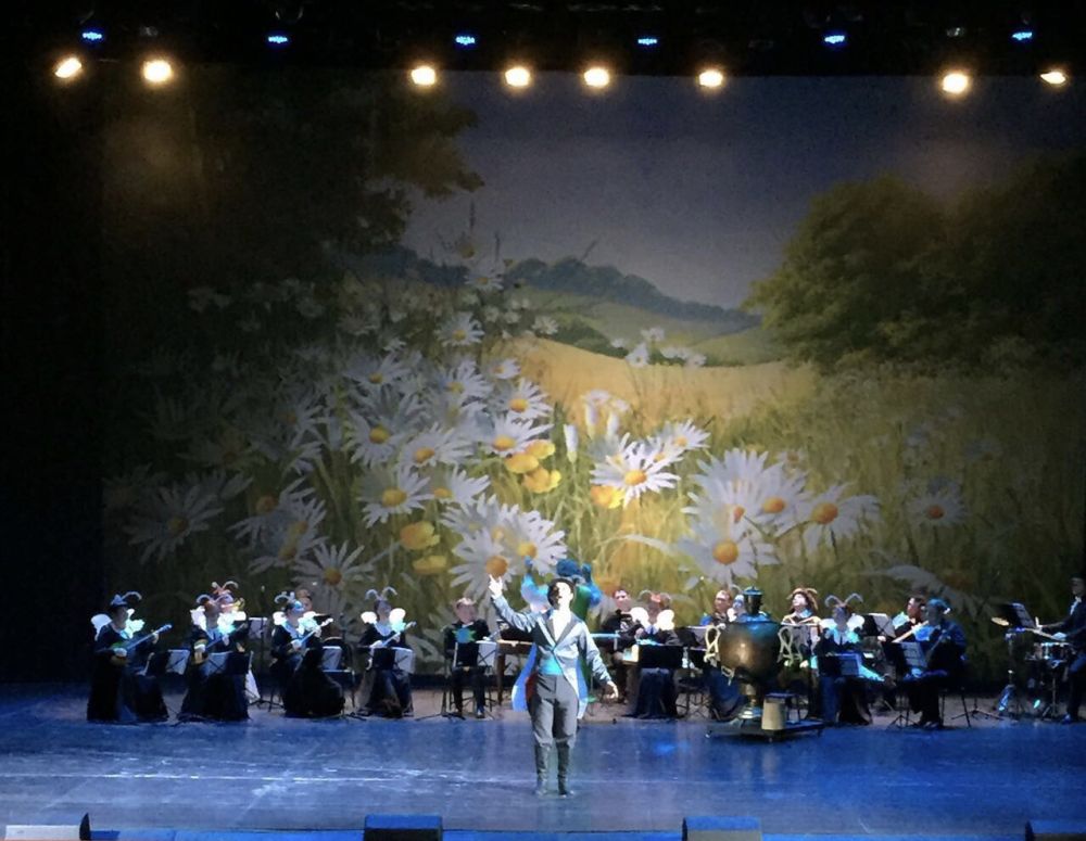 Спектакль «Муха-Цокотуха. Именины с оркестром» прошёл во Власихе и Москве